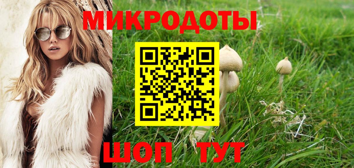 Сухой Лог  Галлюциногенные грибы мицелий  где можно купить наркотик  Вход с VPN 